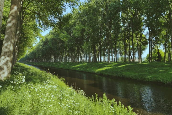 Scenic view of the Damme waterway with surrounding trees near De Snippe
